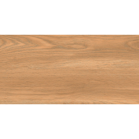 Гранитогрес RICHWOOD BROWN