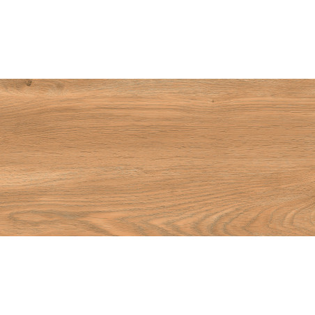 Гранитогрес RICHWOOD BROWN